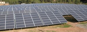 placas fotovoltaicas en un descampado